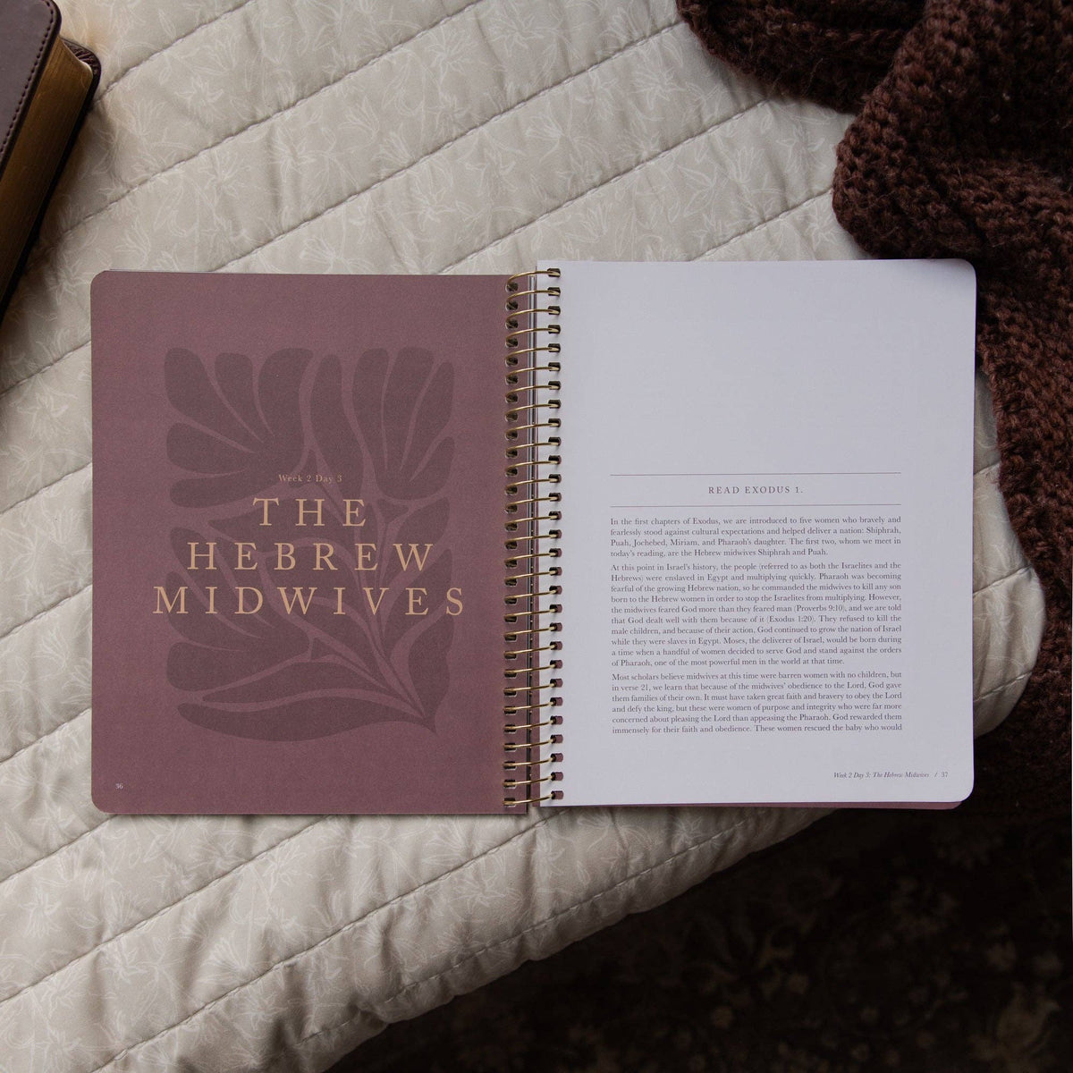 Daughters of Grace Spiral Bible Study | 10th Anniversary Edition