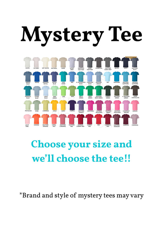 Adult Mystery Tee